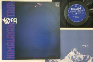 LP 藪暁彦 黎明 PH8526 PHILIPS /00260