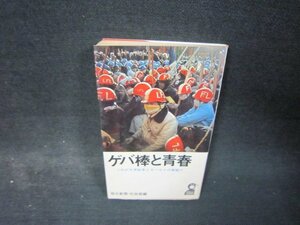 ゲバ棒と青春　日焼け強めシミ多/RBK