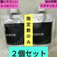 ≪SARTOR≫　定価６３８０円の品　白髪染め ブラックカラートリートメント2個