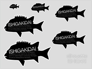 魚ステッカー(シルエットイシガキダイ)防水,UVカット,海,釣り,石垣鯛（6サイズセット）