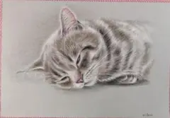 色鉛筆画　寝落ち寸前のキジネコちゃん