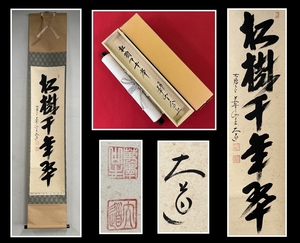 【千寿】大徳寺派 極楽寺 西垣大道「松樹千年翠」紙本 d98◆箱/茶道具/古美術/時代品/掛軸/100014989