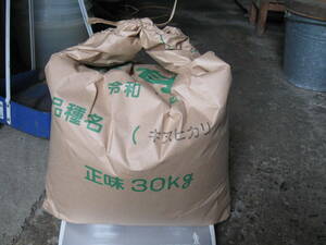 令和4年産　近江米キヌヒカリ　玄米正味15キロ