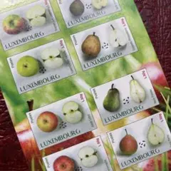 52219セール現品限り　外国切手未使用　ルクセンブルク発行りんご梨10種ペーン