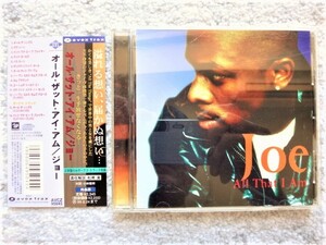 B【 Joe ジョー / All That I Am 】国内盤（解説・訳詞付き）CDは４枚まで送料１９８円