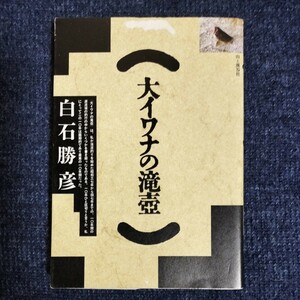 大イワナの滝壺　白石勝彦　山と渓谷社　1995年4刷