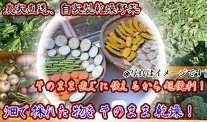 農家自家製お任せ乾燥野菜　160g！期間限定値下げ！