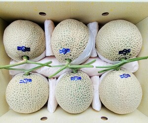 高知産　マスクメロン　６玉入り　約８，１Kg　美品