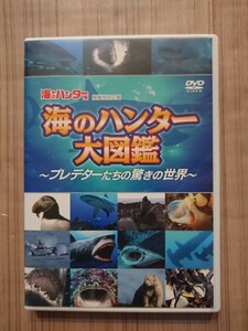 海のハンター展DVD 海のハンター大図鑑～プレデターたちの驚きの世界～ 製作:BSジャパン 