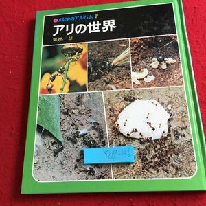 Y07-136 科学のアルバム7 アリの世界 栗林慧 あかね書房 1977年発行 生態 種類 結飼育 クロヤマアリ クロオオアリ サムライアリ など
