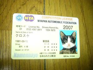 猫　なめ猫の免許証カード　クロスケ　A級ライセンス　西暦2007年　格好いい革ジャン風　人気では又吉に負けてるが僕の事宜しく　未使用