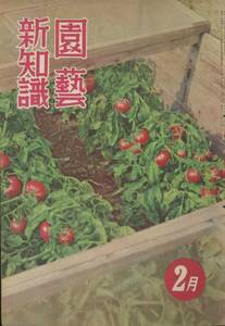 ■園芸新知識　昭和26年2月号　検：たねなし西瓜・カミヤツデ・テトラパナックス・梨「光月」「新世紀」