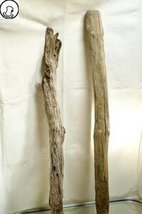 SEASIDEinterior☆流木の2本セット,Cool driftwood for decorating 101