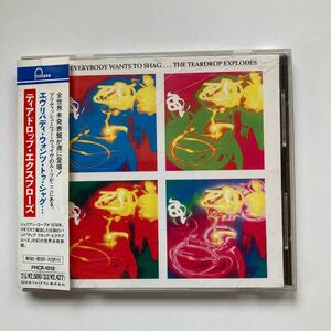 国内盤 THE TEARDROP EXPLODES ティアドロップ・エクスプローズ EVERYBODY WANTS TO SHAG ジュリアン・コープ JULIAN COPE NEW WAVE 