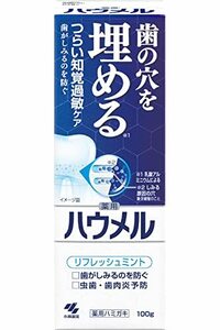 ハウメル 知覚過敏ケア 薬用ハミガキ 100g 歯の穴を埋める 小林製薬 1個