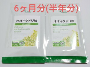 送料無料 オオイタドリ粒 6か月分 サプリメント 健康　リプサ グルコサミンやコンドロイチンを別角度からサポート　オオイタドリサプリ