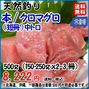 天然 本マグロ 中トロ 150-250g×2-3冊＝500g分 冷凍 料亭 寿司屋 ご用達 真空パック 送料無料 宇和海の幸問屋