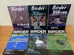 バーダー　Birder 2004年1月から6月　計6冊　バードウォッチングマガジン　雑誌　海外バードウォッチング　梟　鳥見ホットスポット　珍鳥