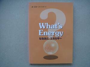 ・TEPCO (東京電力)　環境行動レポート　What`s Energy　なるほど、エネルギー　1/2　 タカ12