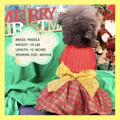 クリスマス 犬 ✨️かわいい✨️リボン レッド チェック柄 XL 服