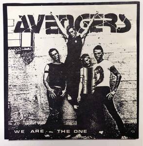 オリジナル　Avengers We Are The One