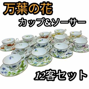 【希少】万葉の花 カップ&ソーサー 12客セット(ティーカップ 食器 洋食器 フラワー 大倉陶園)