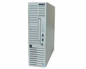 NEC Express5800/T110i-S (N8100-2498Y) Xeon E3-1220 V6 3.0GHz メモリ 4GB HDD 300GB×3(SAS 2.5インチ) DVD-ROM AC*2 動作確認済み