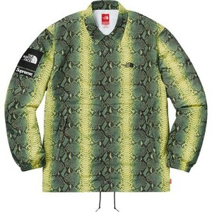 新品 国内 18ss Supreme The North Face Snakeskin Taped Seam Coaches Jacket green シュプリーム ノースフェイス M a8949