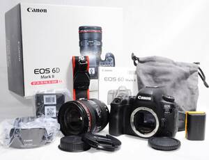 【期間限定値下げ中】Canon EOS 6D Mark II EF24-70 F4L IS USM レンズキット y768