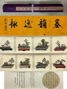 中国古書画 宋美齡 紙本 八幀盆景 手卷 前題跋徐邦達 后題跋陳半丁 馬公愚 趙朴初 書画長卷 水墨中国画巻物 肉筆逸品 肉筆保証品