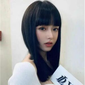 【匿名発送】ウィッグ ストレート セミロング フルウィッグ 小顔 耐熱性 髪 自然 女子 黒 ブラック インパクト 大人女子 韓国 モデル