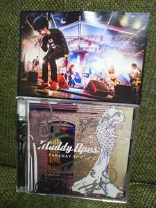 貴重☆INORAN全メンバーMuddy Apes直筆サイン入り!CDアルバムFARAWAY SO CLOSEポストカード付ルナシーLUNA SEAイノランSUGIZO小野瀬潤J真矢