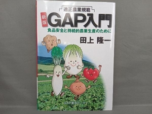 新版GAP入門 田上隆一