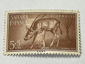 外国切手　SAHARA ESPANOL　1955　15+5CTS