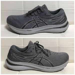 asics アシックス GEL KAYANO 29 ゲル カヤノ シューズ EXTRA WIDE 30.0 ランニング 運動靴 グレー