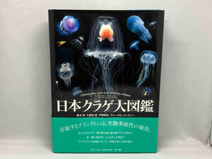 日本クラゲ大図鑑 峯水亮 平凡社