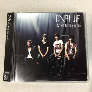 CNBLUE - What turns you on? 国内盤 CD 韓国 ロック ポップス K-POP cbu421