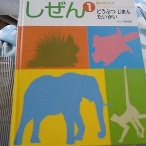 【3】中古●しぜん1●どうぶつじまんたいかい●キンダーブック●