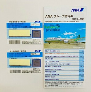 ANA 全日空 株主優待券 2024年５月3１日まで搭乗分1枚しかございません。即決あり☆　※1枚価格になります【迅速にコードを通知します】