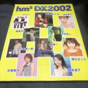 hm3 DX2002 声優 子安武人 林原めぐみ 関智一 三木眞一郎 水樹奈々 桑島法子 送料無料