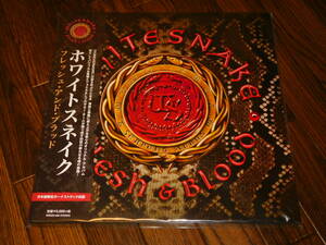 未開封新品 WHITESNAKE / FLESH & BLOOD 国内盤仕様 2枚組LPレコード 限定500枚 David Coverdale Reb Beach Joel Hoekstra