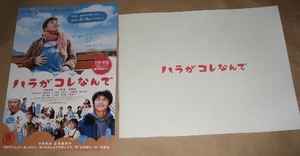 劇場版　ハラがコレなんで　パンフレットチラシ 仲里依紗 中村蒼 稲川実代子 並樹史朗 竹内都子 大野百花 鈴木励和 石橋凌未読品