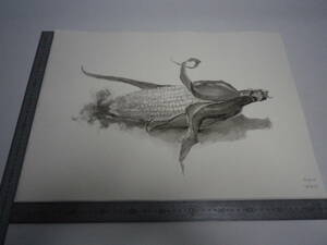 「とうもろこし」水墨画【坂垣内 将泰】作者直筆原画「真作」P10号ハーネミューレ紙(経年保管品)【送料無料】00700064