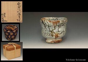 星庵厳選企画　月形那比古作　鬼志野　茶碗　共箱