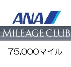 全日空ANA75,000マイル　希望の口座へ加算