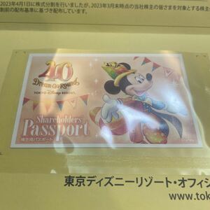 匿名配送／有効期限2024年6月30日／東京ディズニーランド・ディズニーシー パスポート 1枚／株主優待