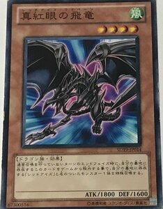 遊戯王 ジャンク ノーマル 効果モンスター 1枚 真紅眼の飛竜 SD19