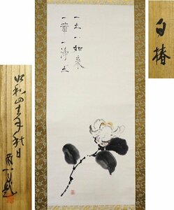 ★☆【　入江酉一郎　掛軸「白椿」紙本　墨彩画　肉筆　共箱　】京都府　師;入江涛光　日展参与　☆★