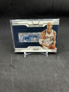 zydrunas ilgauskas NBA Panini auto CLE 