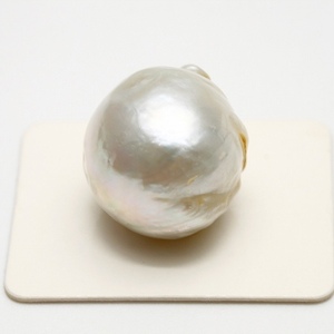 南洋白蝶真珠パールルース　20×19mm　ホワイトカラー